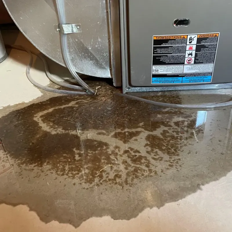 Pipe Burst and Leak Restoration in Heritage Village, CT