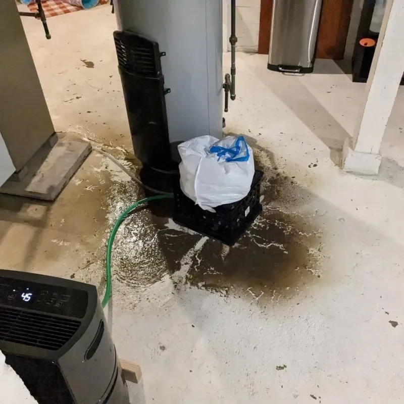 Sewage Backup Cleanup Service in Heritage Village, CT